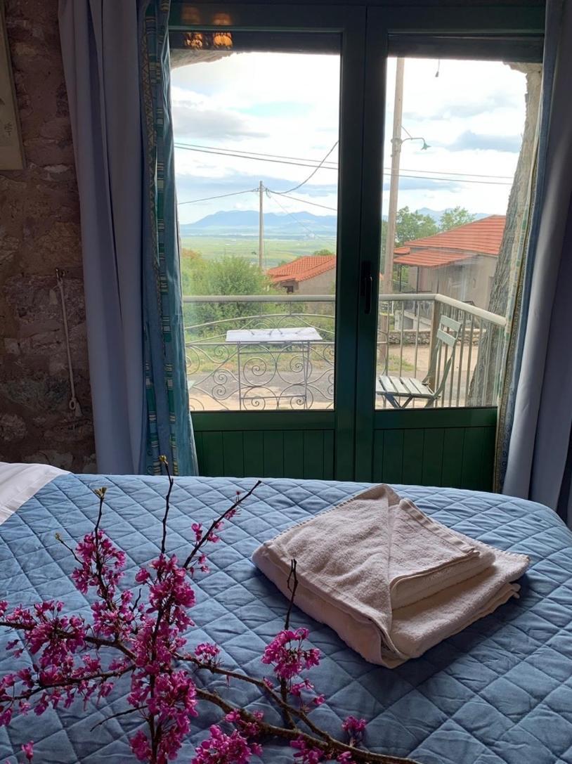 Ellinikón Elaion Guesthouse מראה חיצוני תמונה