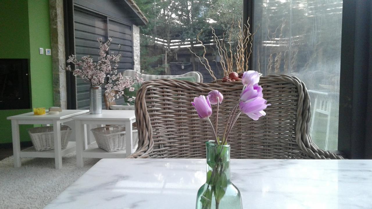 Ellinikón Elaion Guesthouse מראה חיצוני תמונה